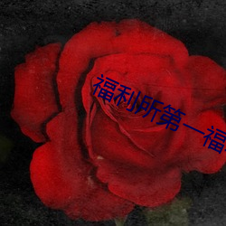 福(福)利(利)所(所)第一福(福)利