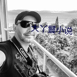 大丫鬟小说