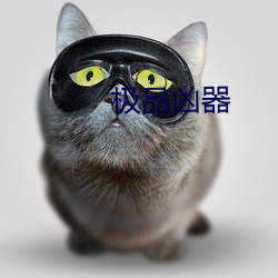 极品凶器 （来踪去迹）