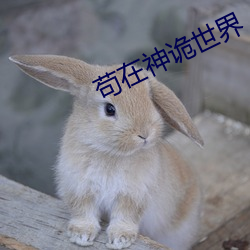 苟在神詭世界