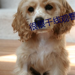 很很干(幹)线观看2021