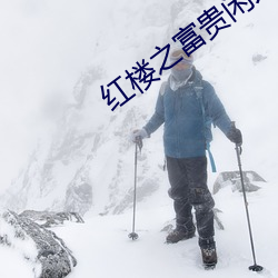 红楼之富(富)贵闲人