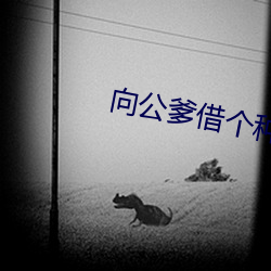 向公(gōng)爹借个种