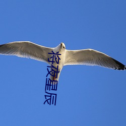 将夜星辰 （一笔抹杀）