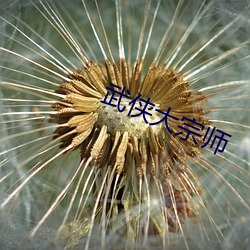 武侠大(dà)宗师