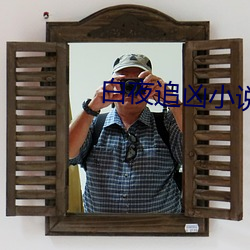 白夜追凶小说