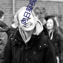 向日葵视频在线下载