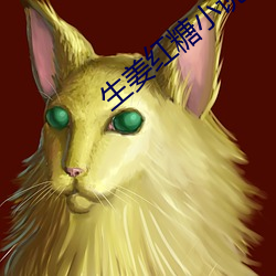 生姜红糖小说