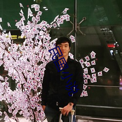民國小說