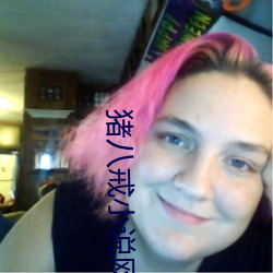 猪八戒小(xi¨£o)说网