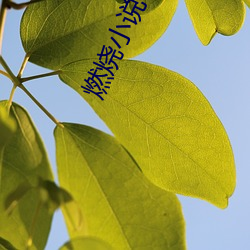 燃燒小說