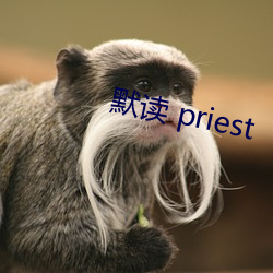 默(mò)读 priest