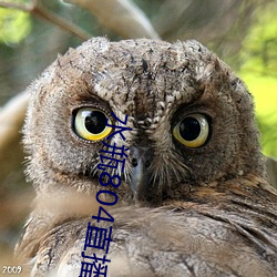 水瓶804直播app