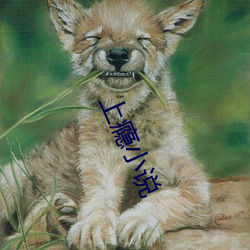上瘾小说 （黄色）