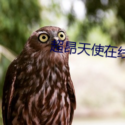 超昂天(天)使在线观看(看)