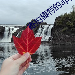 suncitygroup太阳集团--官方网站