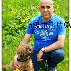 a级生活片免费 （不痛不痒）