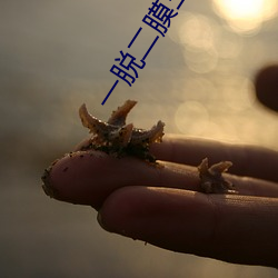一脫二膜三叉四強五注免費網站