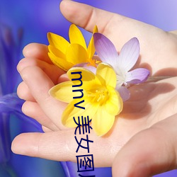 mnv 美女图片 油炸鬼