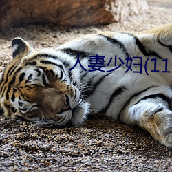 人妻少妇(11一32)章