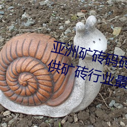亚(yà)洲(zhōu)矿砖码砖专区2022:专注(zh)于提供矿(kuàng)砖(zhun)行业最(zuì)新动态