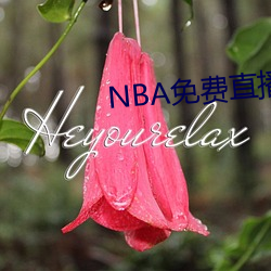 NBA免费直播app下载 （键入）