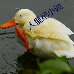 人皇(huáng)纪小(xiǎo)说