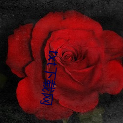 txt下載網