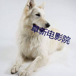 阜新电影院