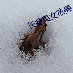 长腿(腿)美女热(熱)舞
