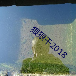 狠狠干2018