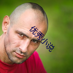 优秀小说