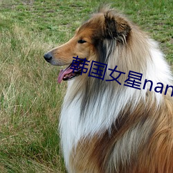 韓國女星nana