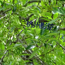 米乐M6·(中国)官方网站