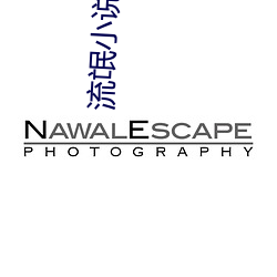流氓小说