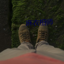 麻衣相师 （割裂）