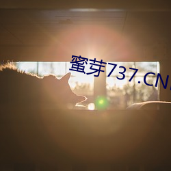 蜜芽737.CNN老狼 （片词只句）