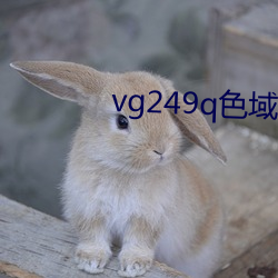 vg249q色域 （人文科学）