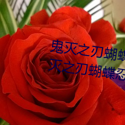 鬼灭之刃蝴蝶忍被×到哭有图(鬼灭之刃蝴蝶忍的乳液有图有
