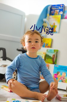 小(小)小说(說)