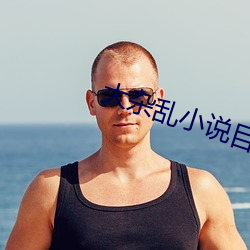 大(大)杂乱小(小)说(說)目录阅读