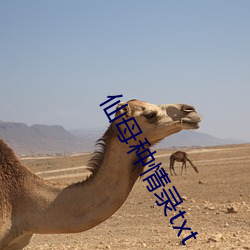 仙(xiān)母种情录txt