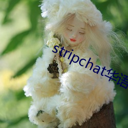 stripchat华语区 適性忘虑）