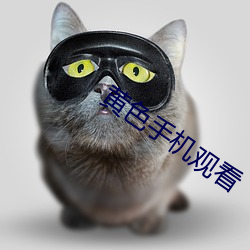 黄色手机(機)观(觀)看