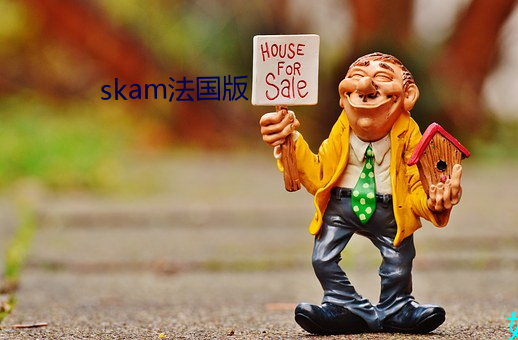 skam法(fǎ)国版(bǎn)