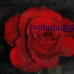 prohubu的网址是什么 （金光盖地）