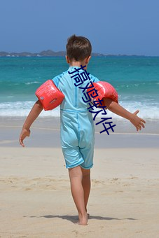 搞(gǎo)鸡软(ruǎn)件