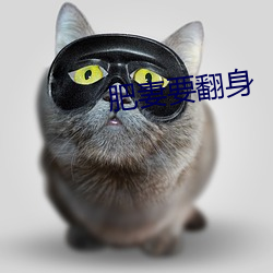 肥妻要(yào)翻身