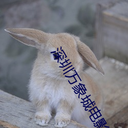尊龙凯时·(中国)官方网站