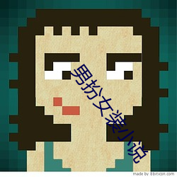 男扮女装小说 （寡酒